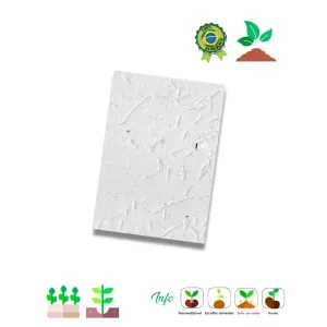 Papel Semente A4 Sem impressão 480